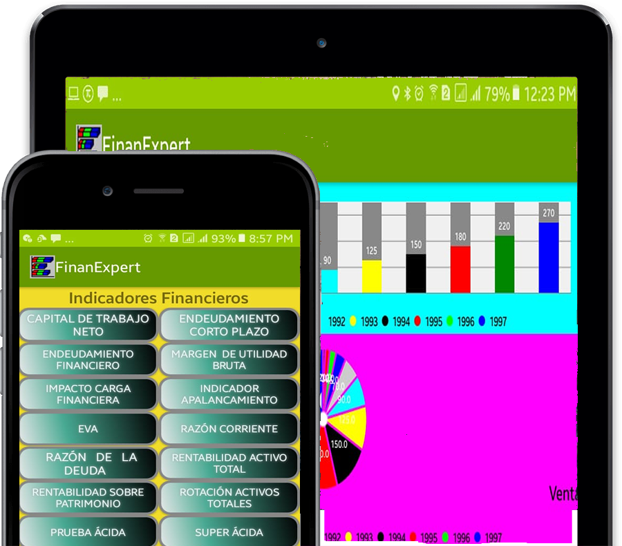 Pantalla de análisis financiero en FinanExpert